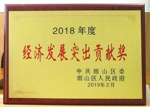 2018年度經濟發(fā)展突出貢獻獎