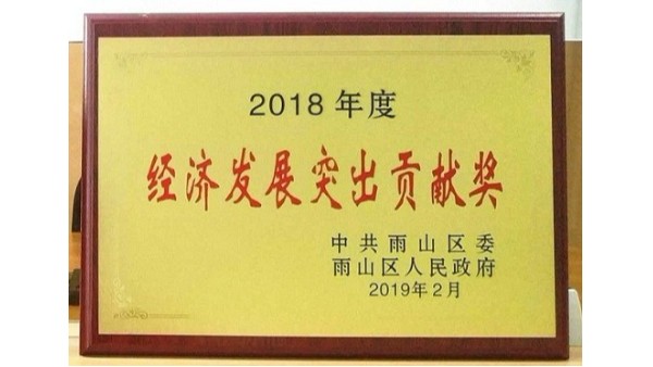2018年度經(jīng)濟(jì)發(fā)展突出貢獻(xiàn)獎-安徽斯塔克
